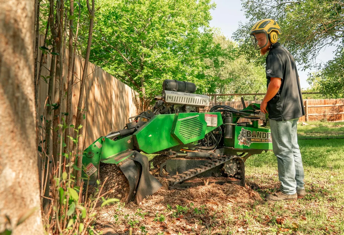 Technician operating a tracked stump grinder along a backyard fence line in Sebastian, FL